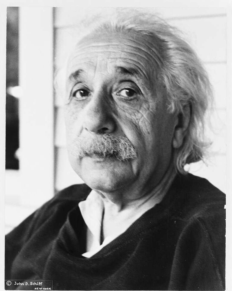 Famous dyslexic Albert Einstein