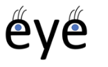 Eye illustration