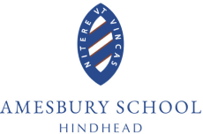 Amesbury Logo