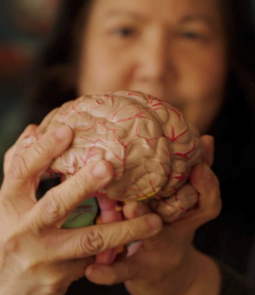 Fernette Eide holding a model brain